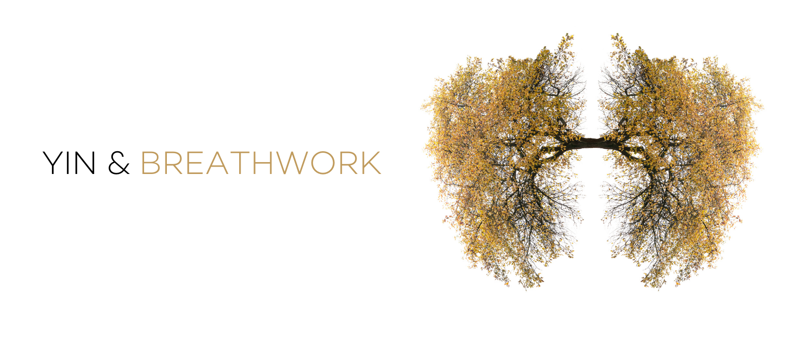 YIN BREATHWORK